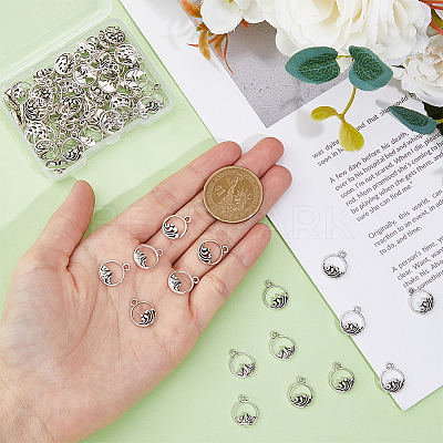 80Pcs 2 Styles Alloy Charms FIND-DC0004-27-1