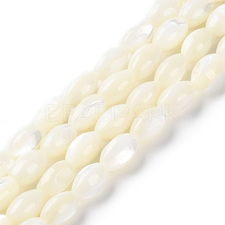 Natural Trochus Shell Beads Strands BSHE-E030-02C-1