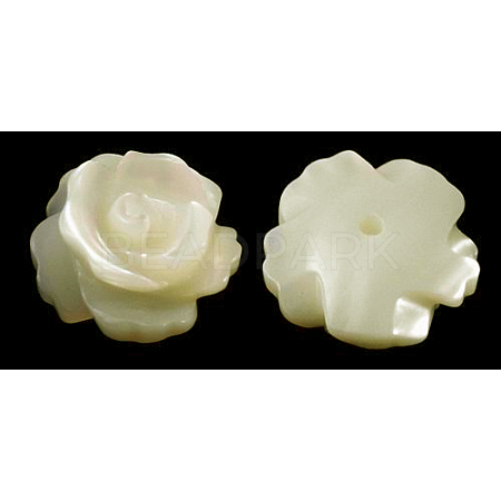 Half Drilled Natural White Shell Rose Flower Flatback Beads X-SH159-1