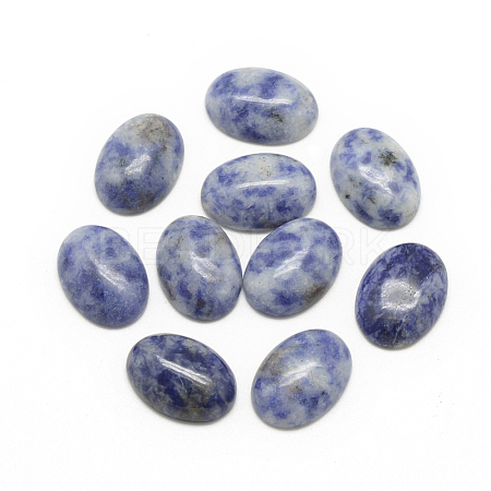 Natural Blue Spot Jasper Cabochons X-G-R415-13x18-45-1