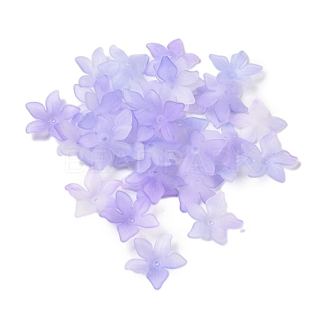 Transparent Acrylic Beads Caps OACR-B022-02A-1