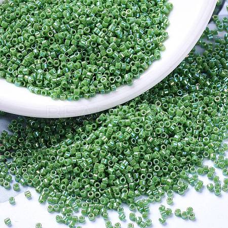 MIYUKI Delica Beads Small X-SEED-J020-DBS0163-1