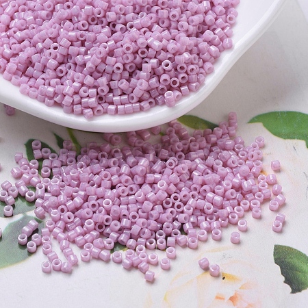 MIYUKI Delica Beads X-SEED-J020-DB0210-1