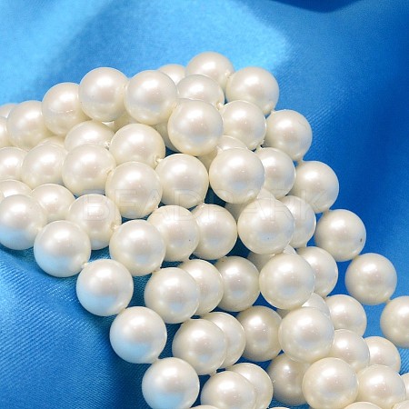 Round Shell Pearl Bead Strands X-BSHE-L011-8mm-A013A-1