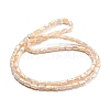 Glass Beads Strands EGLA-P052-03C-05-2