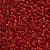 8/0 Glass Seed Beads X2-SEED-A005-3mm-25-2