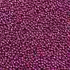TOHO Round Seed Beads X-SEED-TR11-0563-2