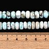 Natural Larimar Beads Strands G-H004-A01-02-6