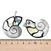 Natural Paua Shell & Black Lip Shell & Yellow Shell Pendants KK-C135-08B-3