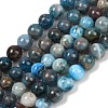 Round Natural Apatite Beads Strands G-K068-02-6mm-01-1