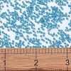 MIYUKI Delica Beads SEED-JP0008-DB2133-2