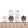 6-Petal Spray Painted Acrylic Bead Caps MACR-S373-46J-4