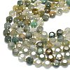 Natural Gemstone Beads Strands G-C116-A146-01-3
