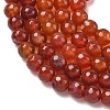 Dyed & Heated Natural Agate Beads Strands G-P539-D01-09-3