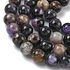 Natural Charoite Beads Strands G-C270-O03-10-4