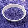 MIYUKI Round Rocailles Beads SEED-G009-RR0432-4