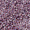 8/0 Opaque Colours Seep Glass Seed Beads SEED-F003-04B-11-3