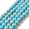 Synthetic Turquoise and Sea Shell Assembled Beads Strands G-D482-01C-07-2