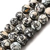 Synthetic Turquoise Beads Strands G-F791-D01-01B-2