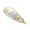Electroplated Natural Freshwater Shell Pendants PALLOY-JF03336-5
