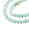 Natural Freshwater Shell Beads Strands X-BSHE-T009A-01D-3