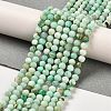 Natural Green Opal Beads Strands G-Z035-A02-03E-2