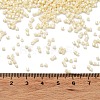 Baking Paint Glass Seed Beads SEED-S042-15B-25-4