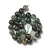 Natural Fuchsite Beads Strands G-K285-40C-1-3
