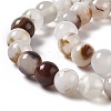 Natural Agate Beads Strands G-C011-01B-4