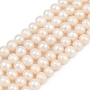 Natural Cultured Freshwater Pearl Beads Strands PEAR-I007-07J-06B-2