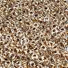 TOHO 6/0 Demi Round Beads X-SEED-DR06-0989-2
