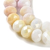 Electroplate Glass Beads Strands LAMP-S068-02P-3
