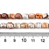 Natural Imperial Jasper Beads Strands G-N342-62K-5