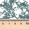 MIYUKI Delica Beads X-SEED-J020-DB2407-3