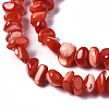 Natural Trochid Shell/Trochus Shell Bead Strands SSHEL-N034-78-C04-3