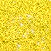 Baking Paint Glass Seed Beads SEED-S042-05B-81-3