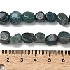 Natural Apatite Beads Strands G-R445-8x10-24A-3