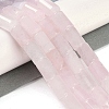 Natural Rose Quartz Beads Strands G-Q159-A03-01-2
