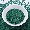 MIYUKI Delica Beads SEED-X0054-DB0656-2