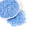 Baking Paint Glass Seed Beads GLAA-T023-43D-3