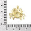Brass Enamel Pendants KK-H529-44G-3