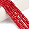 Synthetic Turquoise Beads Strands G-Z110-B01-2x4mm-02-1