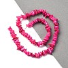Natural Freshwater Shell Beads Strands BSHE-I016-01G-4