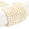 Natural Shell Beads Strands SSHEL-E571-38B-4mm-1