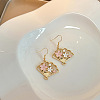 Alloy Enamel Dangle Earrings FS-WG5BF49-01-4