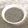 MIYUKI Round Rocailles Beads SEED-JP0010-RR3645-2