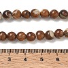 Natural Trochus Shell Beads Strands SH-CBAFEDD-02A-2