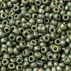 MIYUKI Round Rocailles Beads X-SEED-G008-RR2033-3