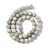 Natural Peace Jade Beads Strands X-G-G905-07-6MM-3