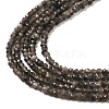 Natural Silver Sheen Obsidian Beads Strands G-E608-A02-A-3